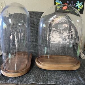 Oval French Glass Cloches with beautiful wood base.